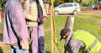 Se inició la plantación de Lapachos Amarillos