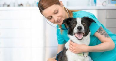 Sauce Viejo; presentaron el cronograma de marzo del programa La Muni en tu barrio