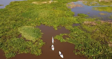Comunidades indígenas denunciaron que no fueron consultados sobre el proyecto de un nuevo parque en el Jaaukanigas