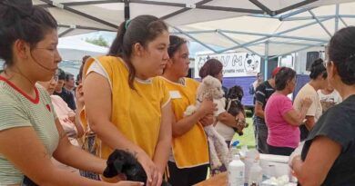 Protección Animal Municipal: servicios, campañas y canales de denuncia para junio