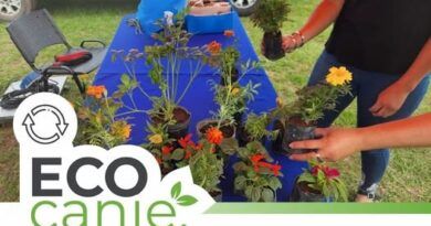 Eco Canje, cronograma del mes de octubre